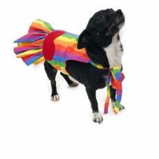 Dog wearing rainbow sundress looking up