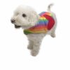 Poodle wearing rainbow top