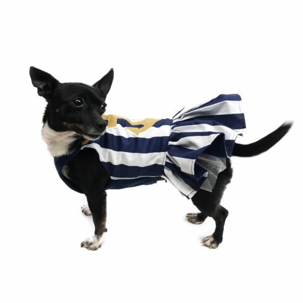 Dog wearing nautical striped outfit
