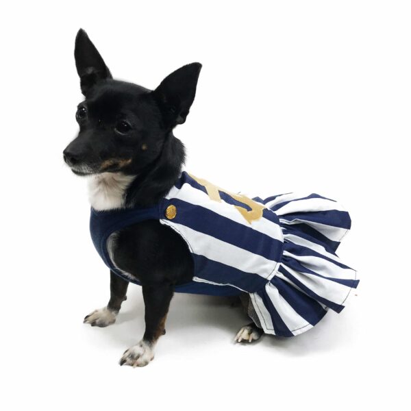 Dog wearing nautical themed sundress