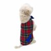 Dog standing on two legs wearing tartan outfit