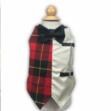 elegant tartan tuxedo