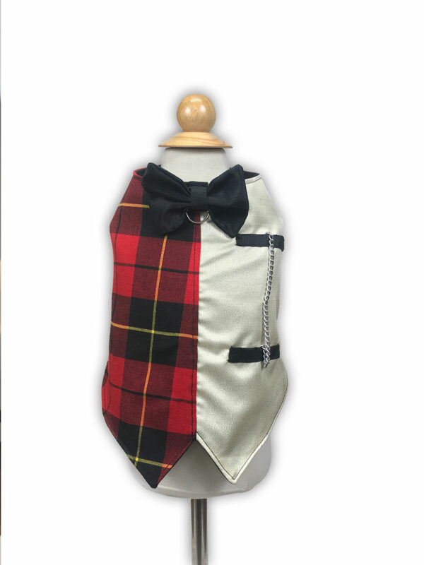 elegant tartan tuxedo