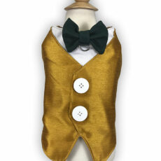 golden dog tuxedo with green bow