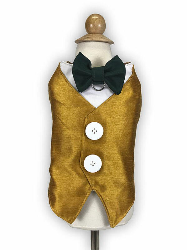 golden dog tuxedo with green bow