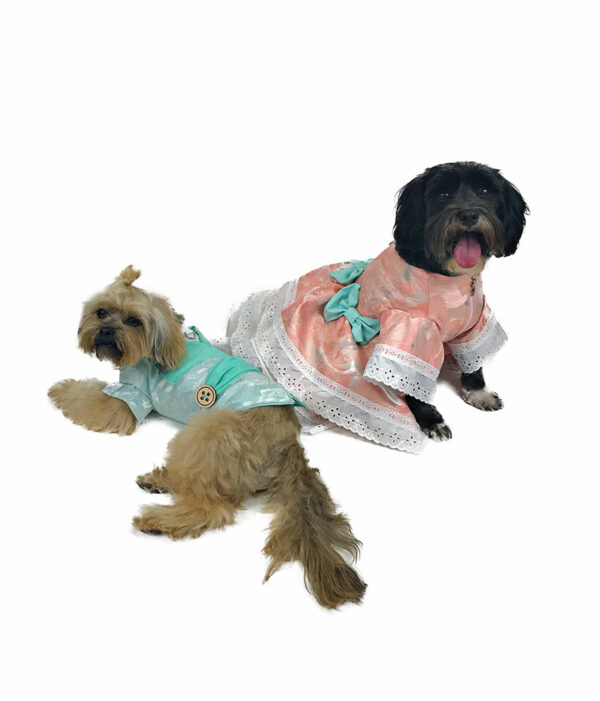 two dogs with formal gowns
