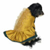 Back view of dog wearing golden dress