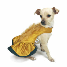 side view of dog wearing golden dress