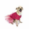 Happy dog wearing pink outfit