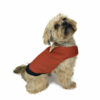 Dog stretching wearing Brick red elegant dog tuxedo