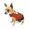 Brick red elegant dog tuxedo looking to side