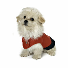 Dog wearing Brick red elegant dog tuxedo