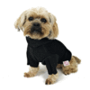 Dog sitting wearing black hoodie