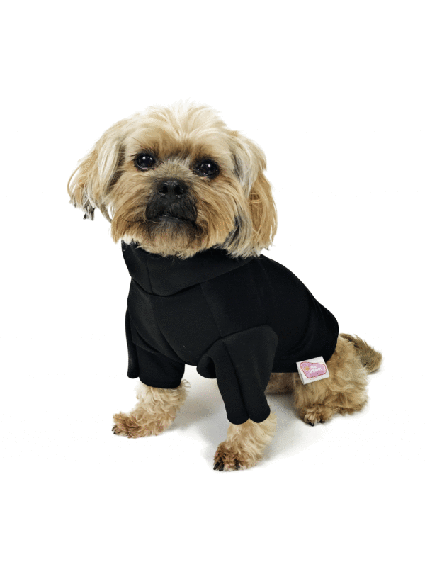 Dog sitting wearing black hoodie