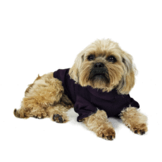 Dog laying down wearing black hoodie