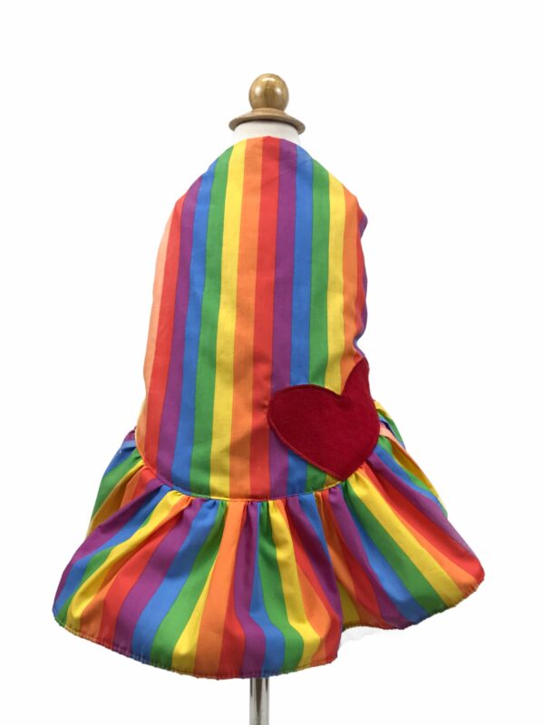 Dog dress with rainbow pattern