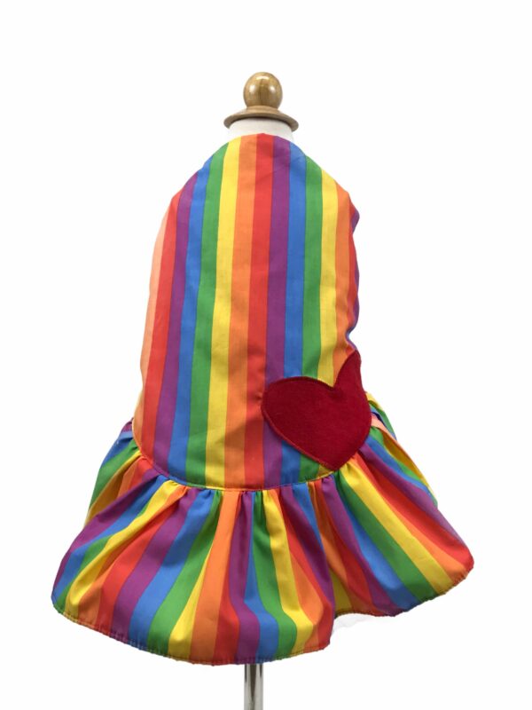 Dog dress with rainbow pattern