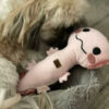 Dog snuggling with axolotl dog toy