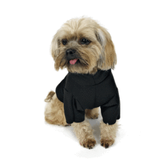 Dog wearing black hoodie