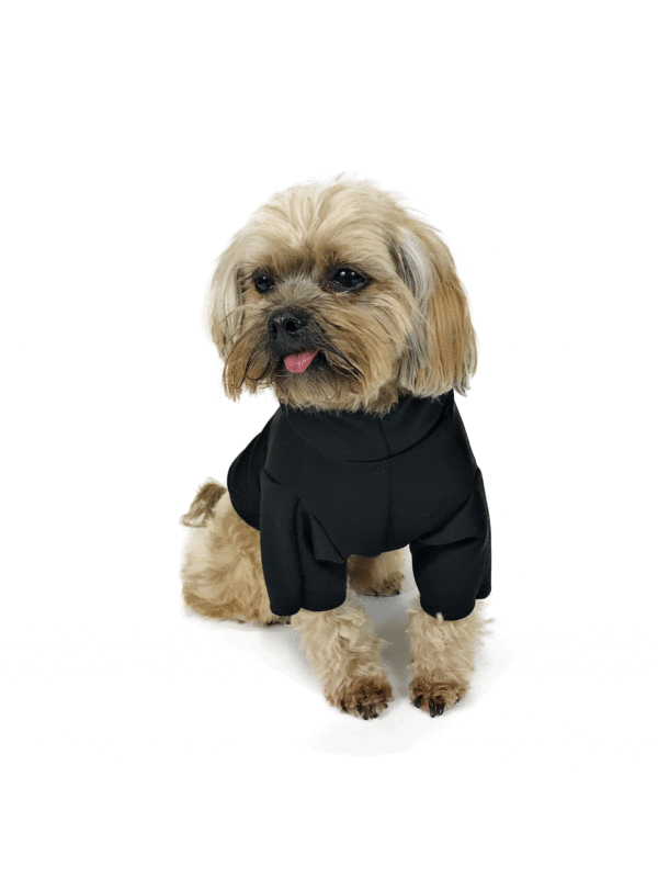 Dog wearing black hoodie