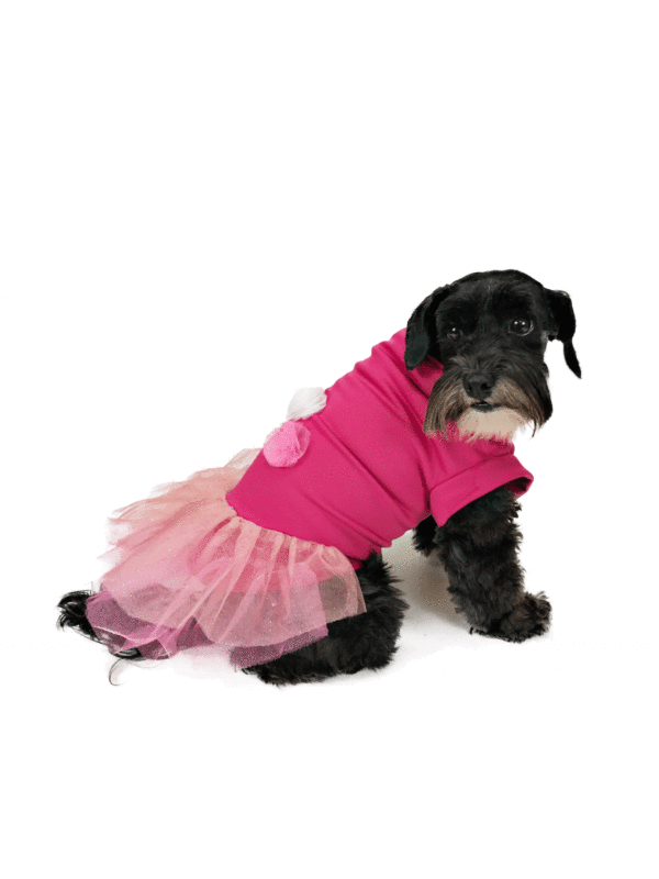 Dog wearing pink outfit