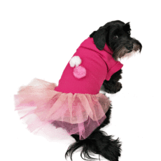 Dog wearing pink outfit looking back