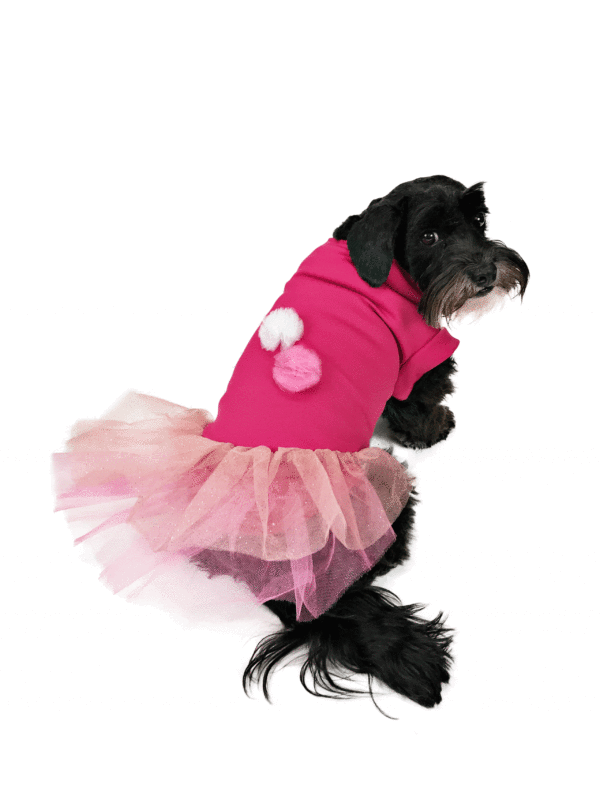 Dog wearing pink outfit looking back