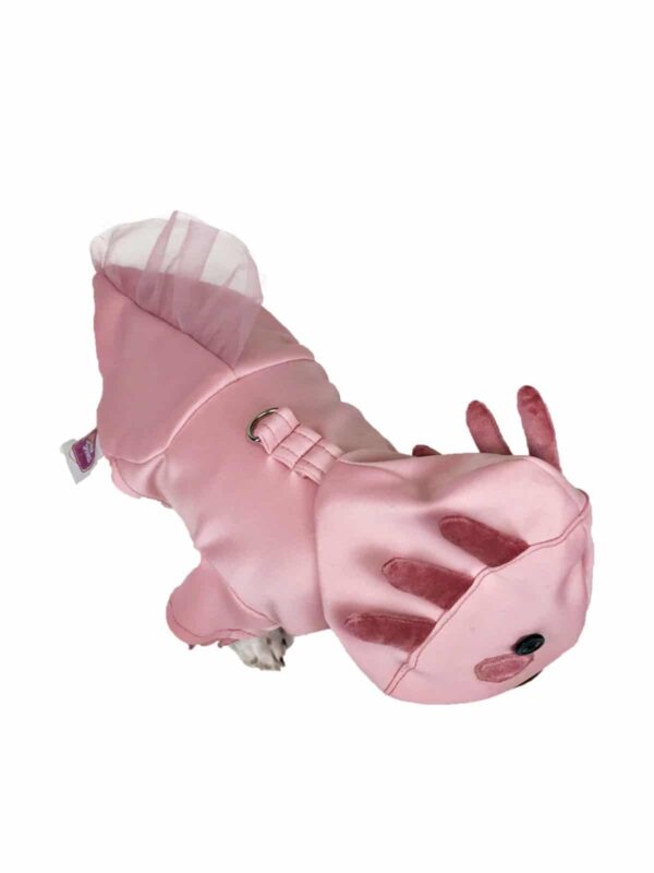 Top view of dog wearing pink axolotl hoodie costume