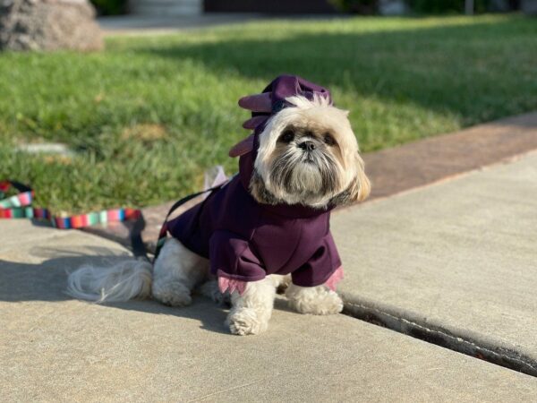 Dog wearing purple axolotl costume