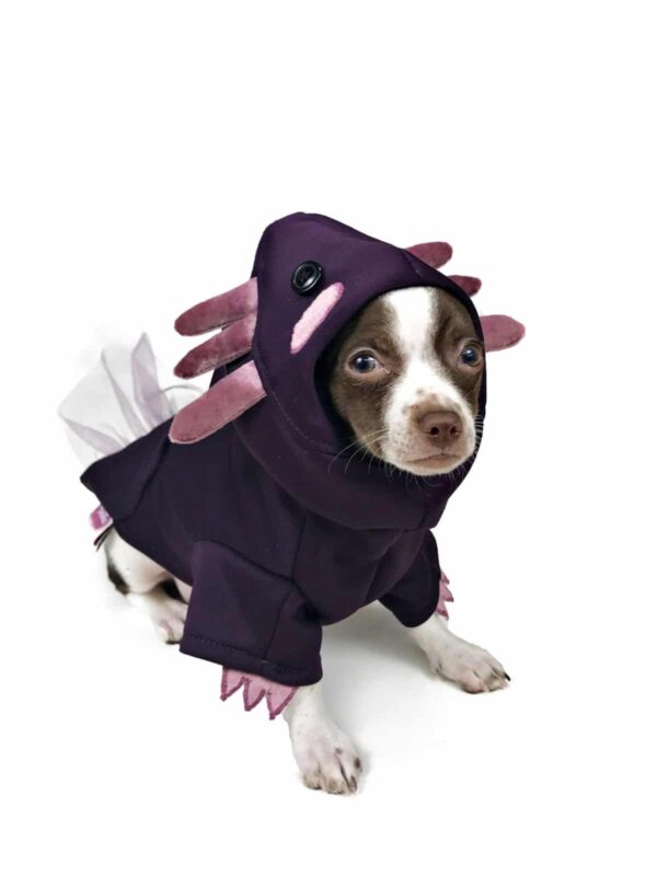 Dog wearing purple axolotl costume plain background