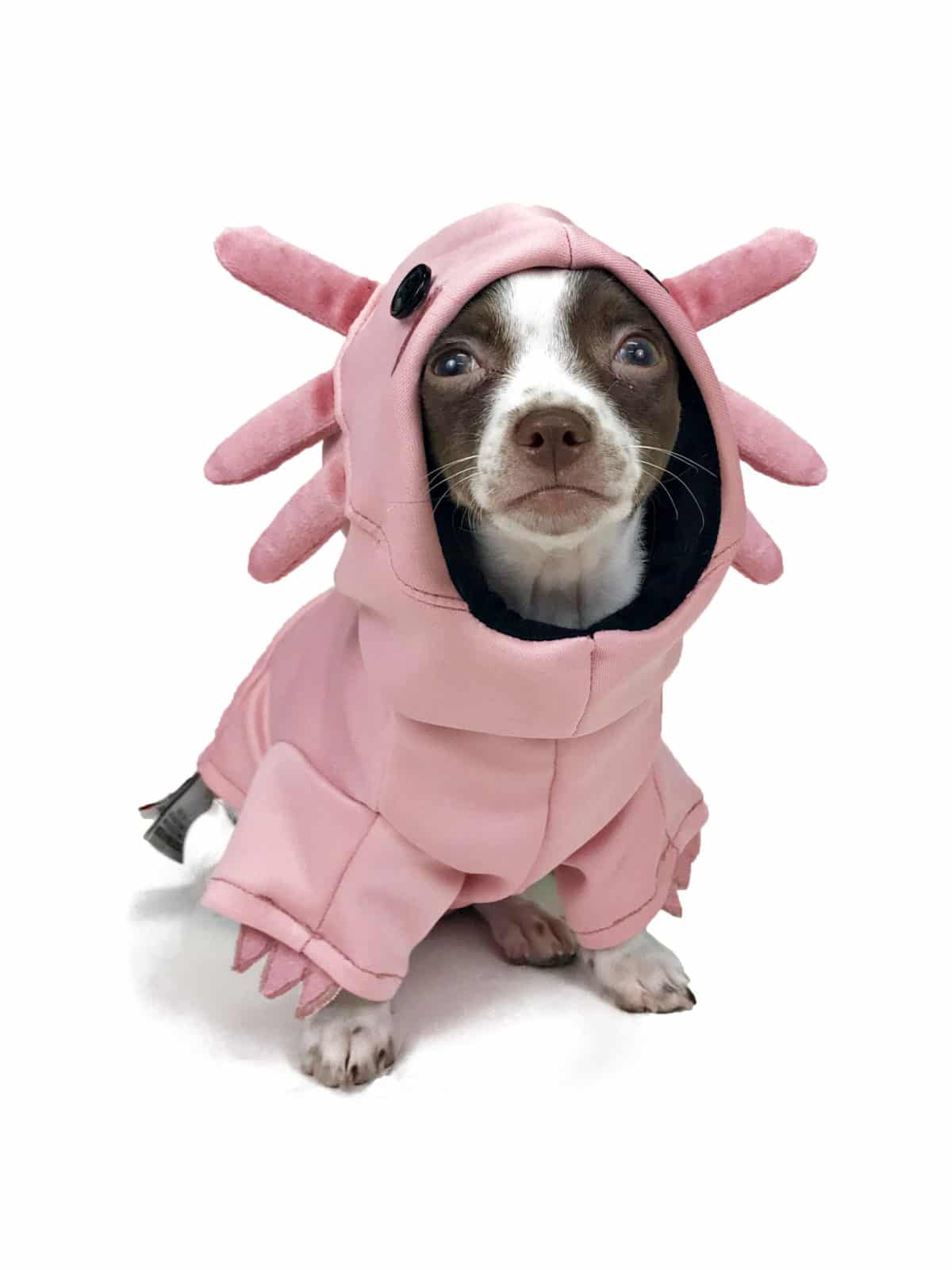 Pet Cosplay Clothes Pet Hoodie