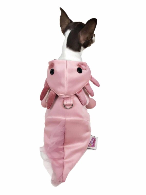 Back view of dog wearing pink axolotl hoodie costume