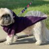 Dog wearing purple axolotl costume hoodie