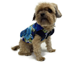 Dog wearing blue rose patterned dog shirt