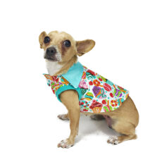 Dog wearing candy patterned top