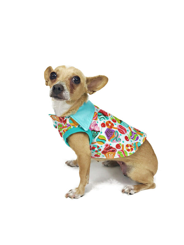 Dog wearing candy patterned top