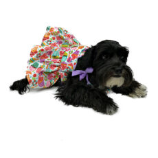 Dog wearing candy patterned dress laying down