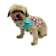 Dog wearing candy patterned top looking at camera