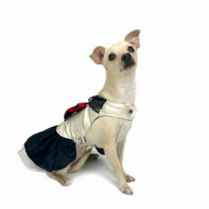 Side view of dog with dress featuring red tartan bow