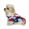 Puppy with patriotic outfit looking to the side