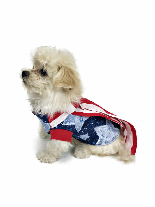 Puppy with patriotic outfit looking to the side