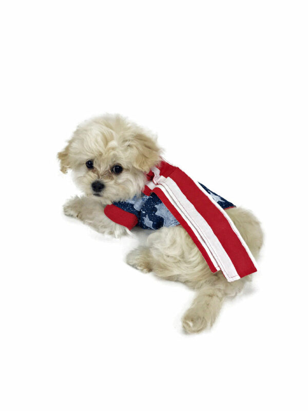Puppy with patriotic outfit