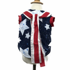 patriotic dog outfit