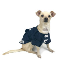 Front view of dog wearing navy trench coat