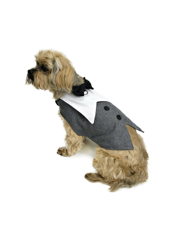 dog wearing grey tuxedo