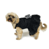 Dog Wearing Dog black formal Lace dress