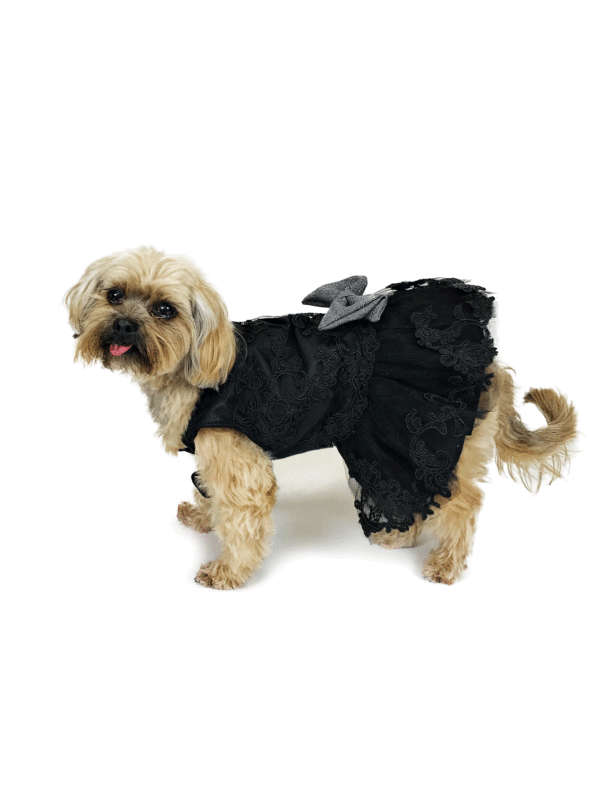 Dog Wearing Dog black formal Lace dress