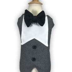grey dog tuxedo