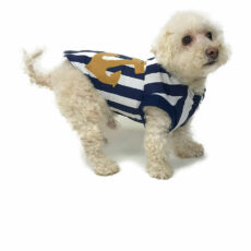 Dog wearing nautical themed striped top