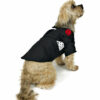 Back view of dog wearing elegant tuxedo